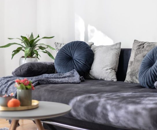 Du đấu & Nghỉ dưỡng